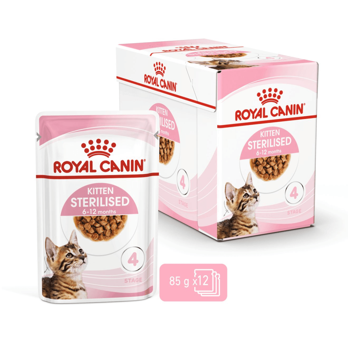 rc-kitten6-12-gravy.png
