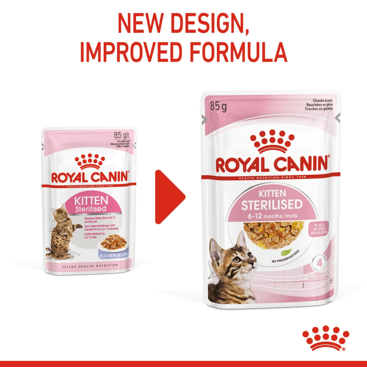 rc-kitten6-12-gravy1.png