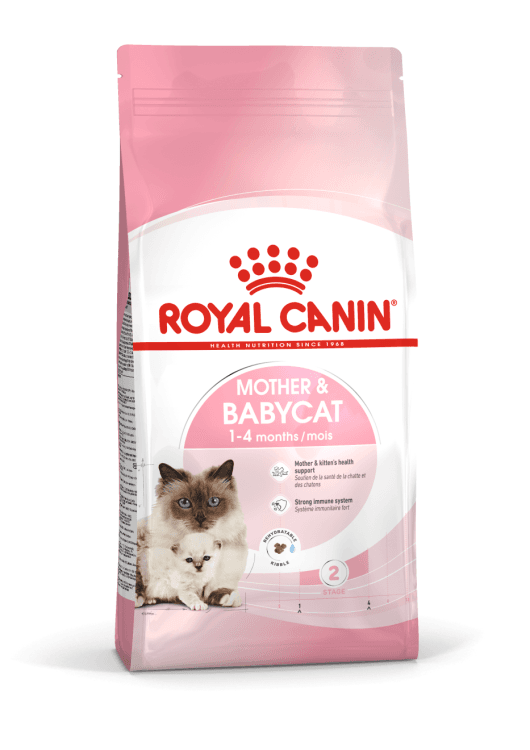 rc-mother&babycat.png