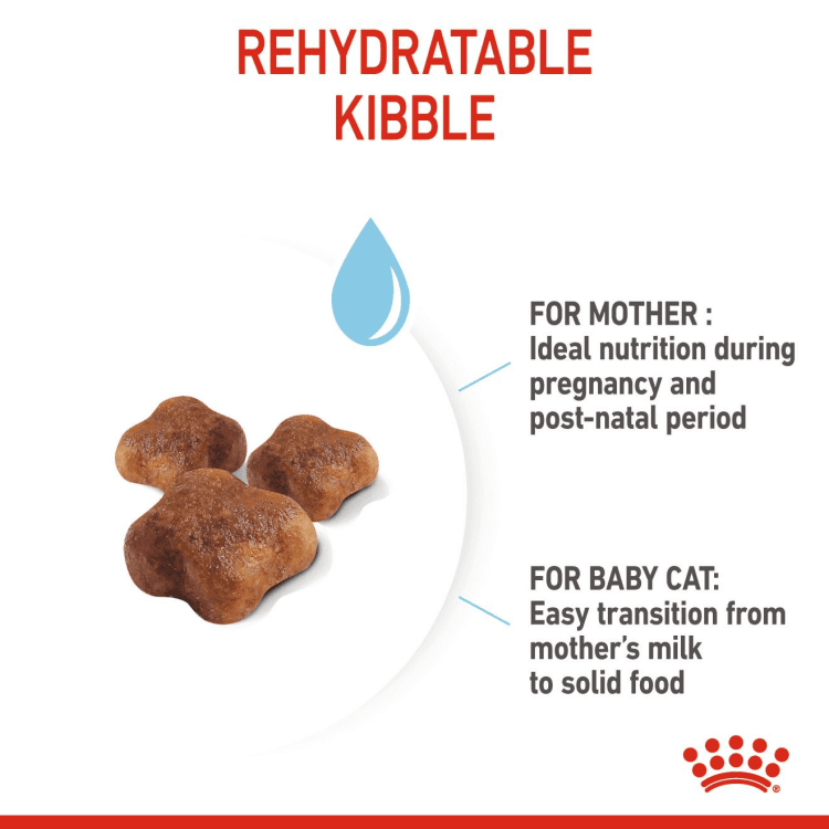 rc-mother&babycat1.png