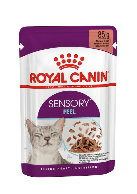 rc-cat-sensory feel.png