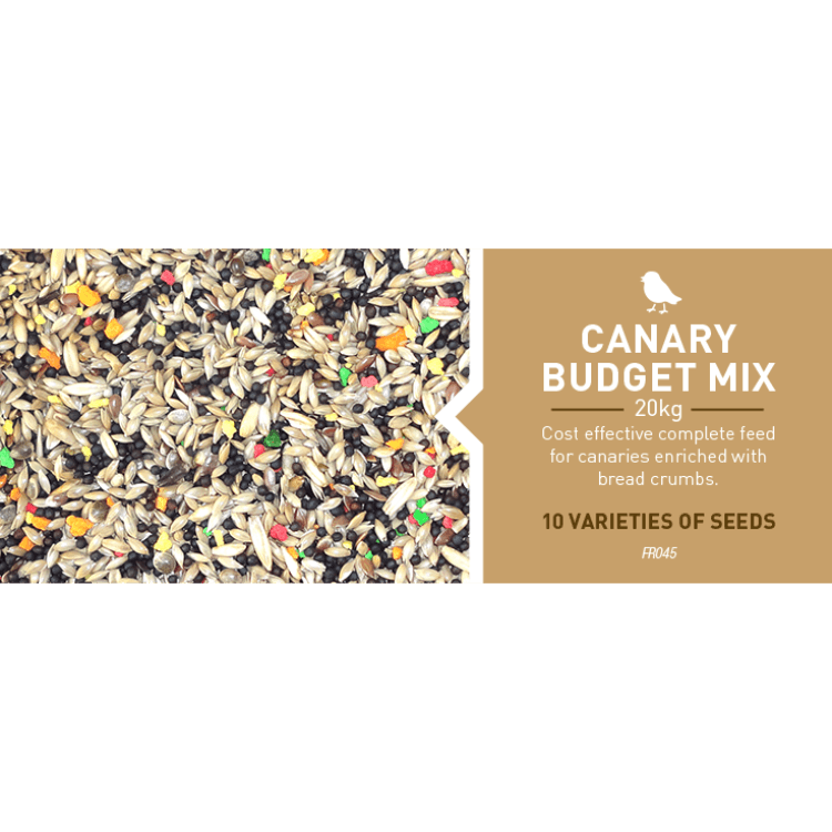 canara-budgie.png