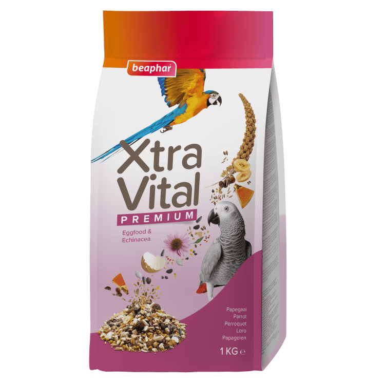 beapher-bird-extravital premium.png
