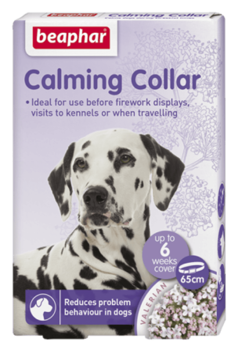 beapher-dog-collar.png