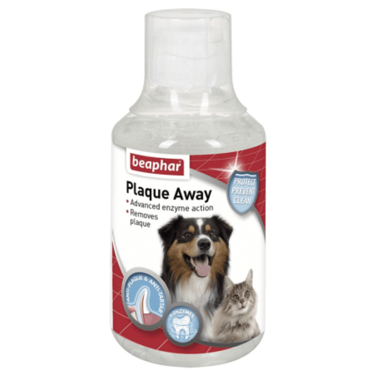 beapher-dog-cat-plaque away.png