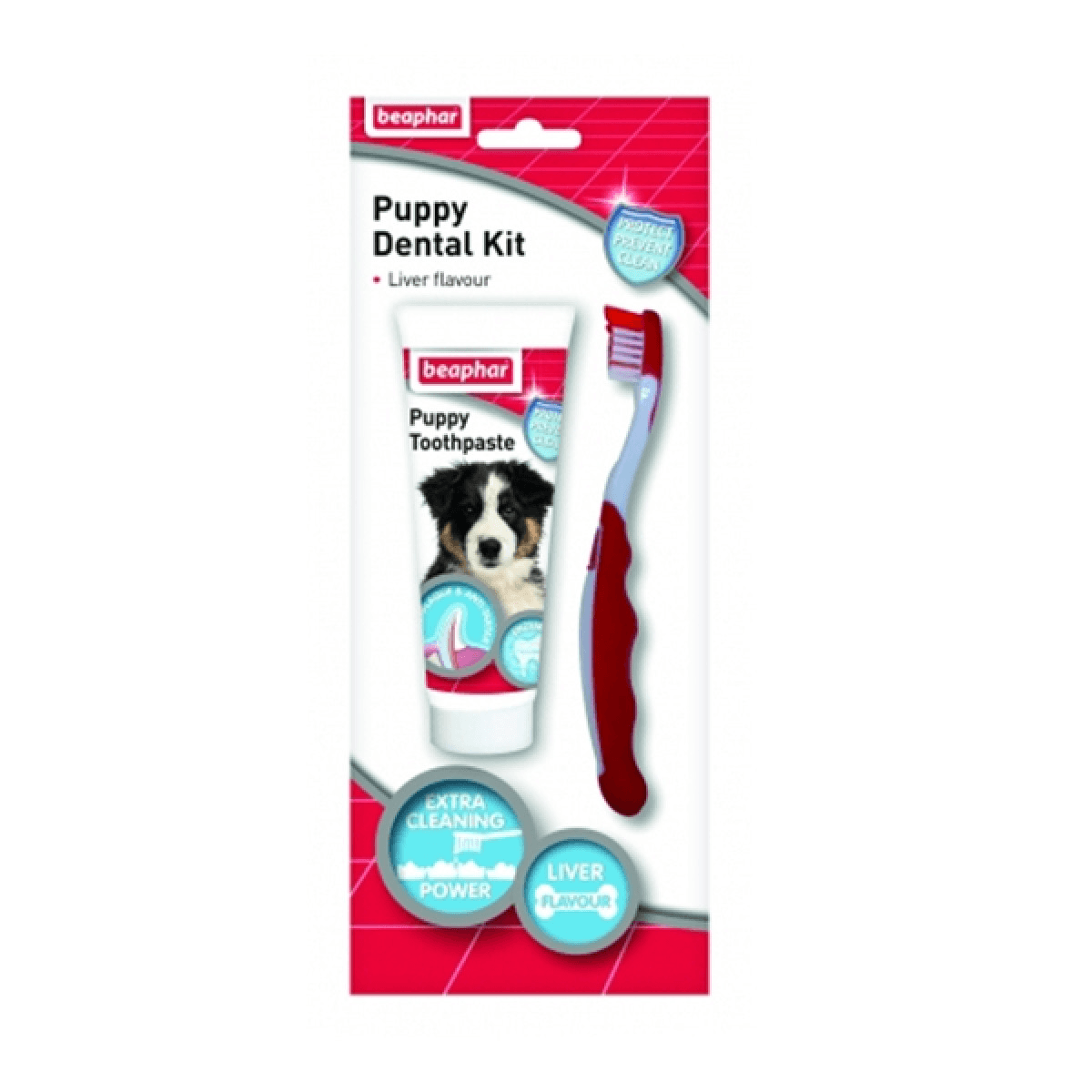 beapher-puppy-dental kit.png