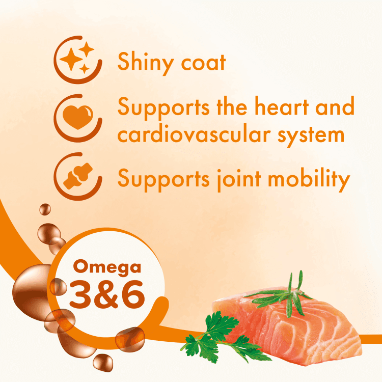 beapher-dog-salmon oil1.png