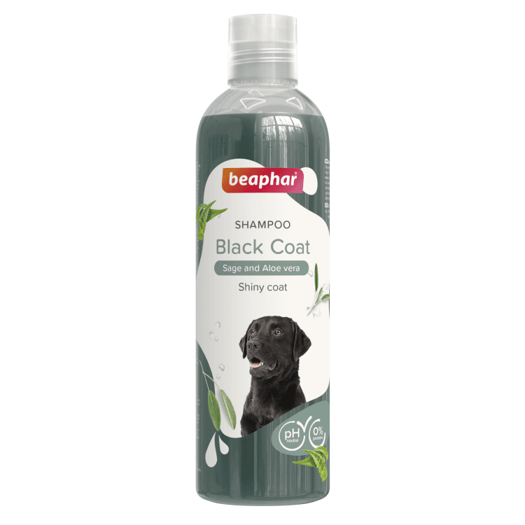 beapher-dog-shampoo-black.png