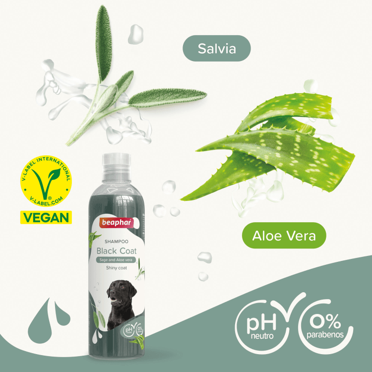 beapher-dog-shampoo-black1.png