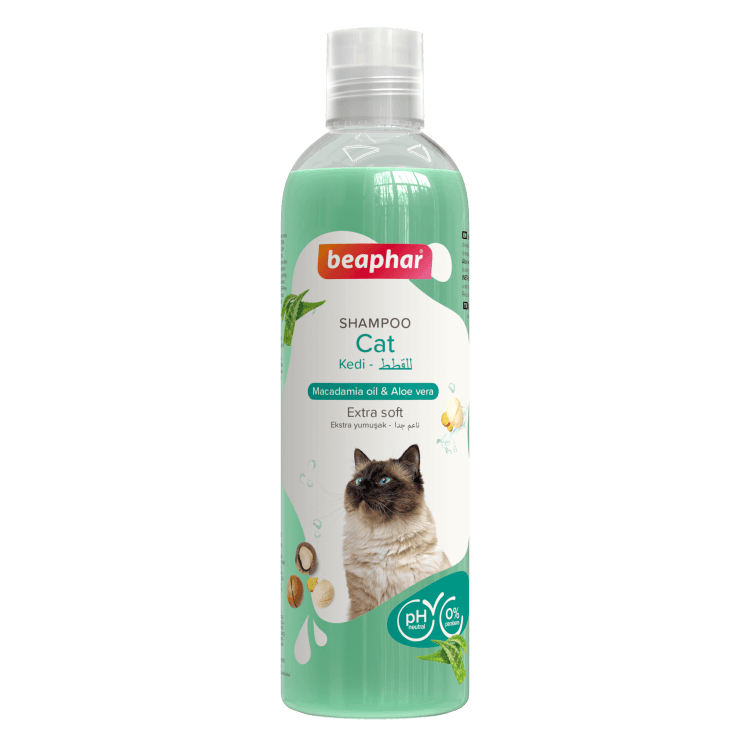 Main product