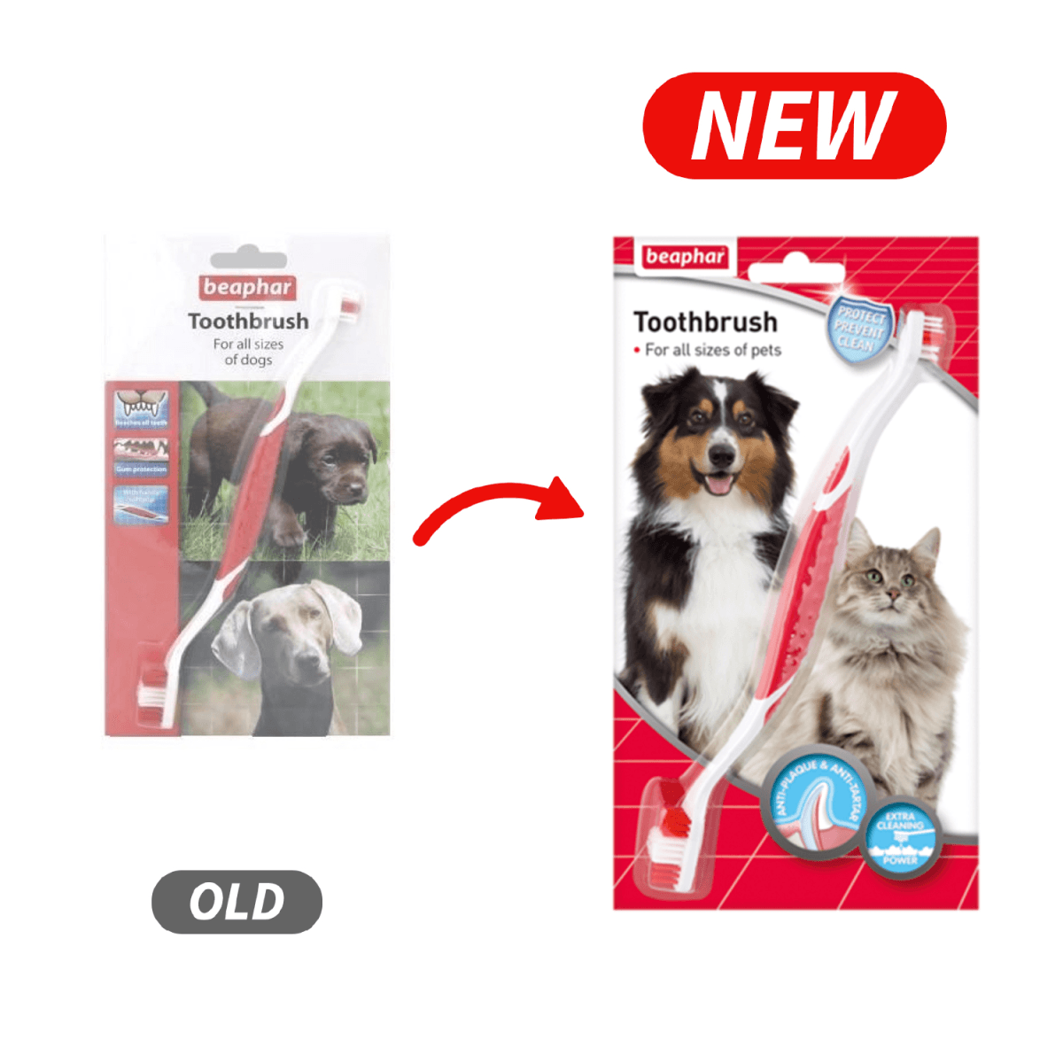 beapher-dog-toothbrush1.png