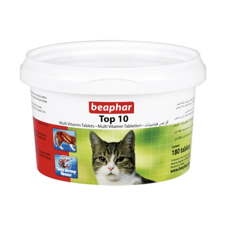 beapher-cat-top10-1.png