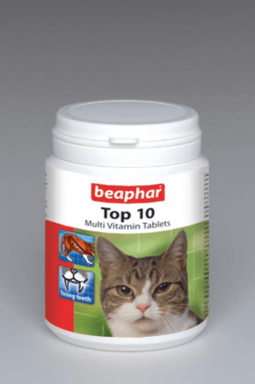 beapher-cat-top10.png