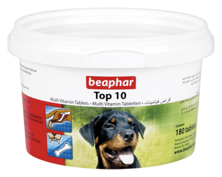 beapher-dog-top10-1.png