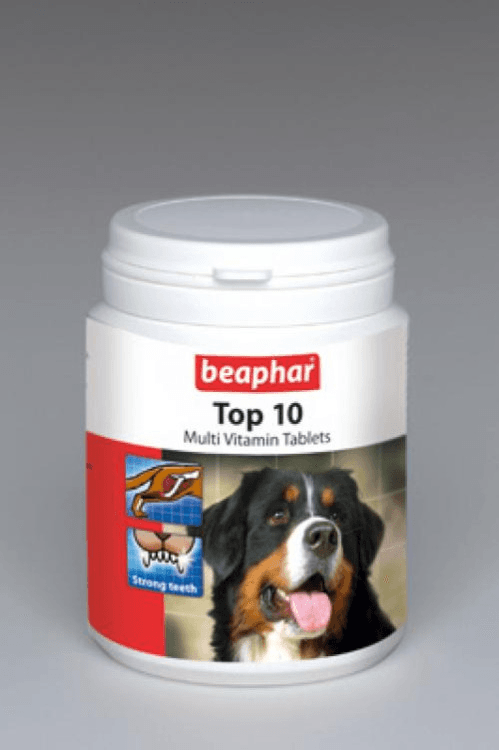 beapher-dog-top10.png