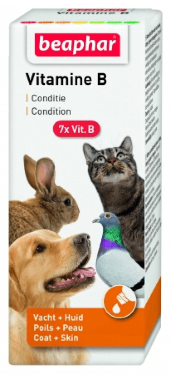 beapher-bird-vitamin B.png