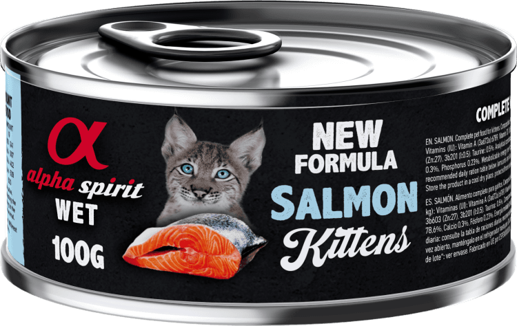 alpha spirit-Wet Food for Kittens Salmon.png