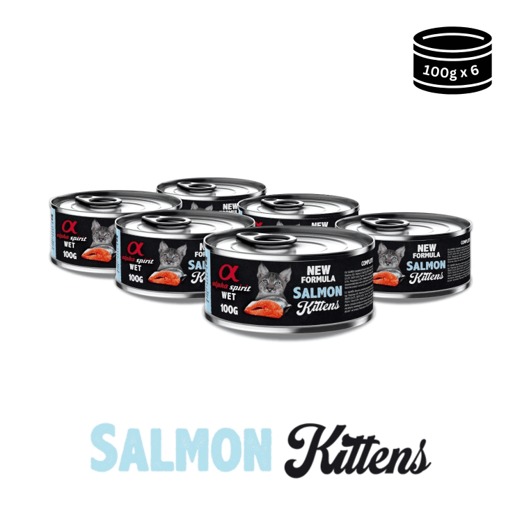 alpha spirit-Wet Food for Kittens Salmon1.png