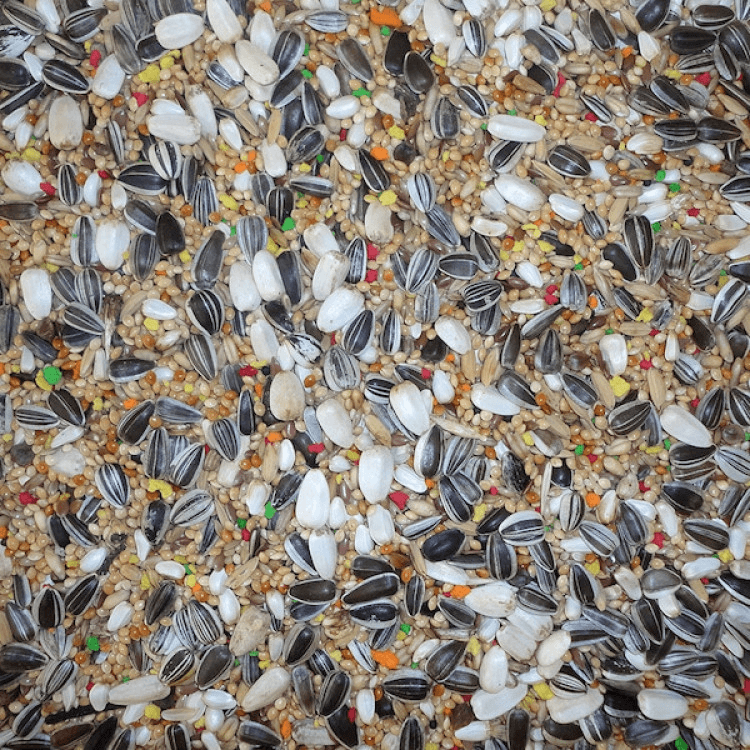 farma-Parakeet Mix 20 kg1.png