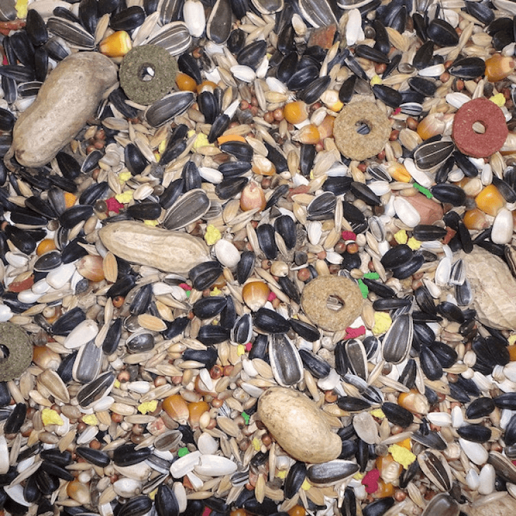 farma-Parrot Special Mix 800 g1.png