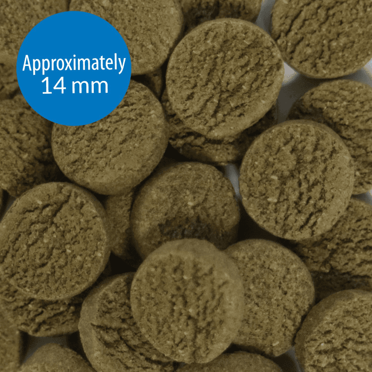 API-API Algae Eater Wafers Fish Food1.png