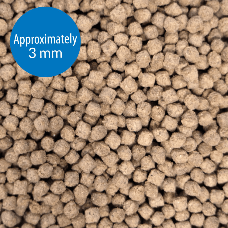 API-API Bottom Feeder Pellets with Squid.png