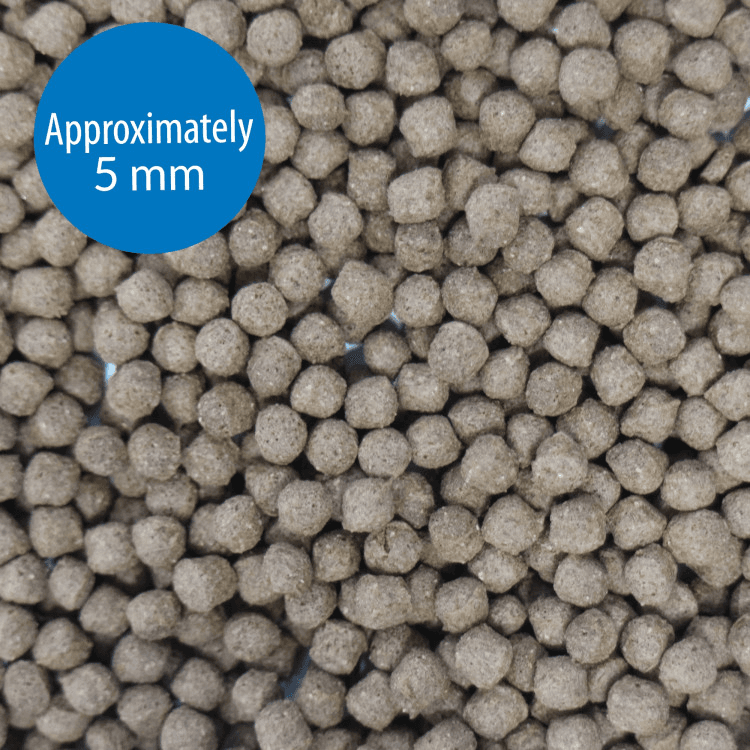 API-API Large Pellets Cichlid Fish Food 7.1 oz1.png