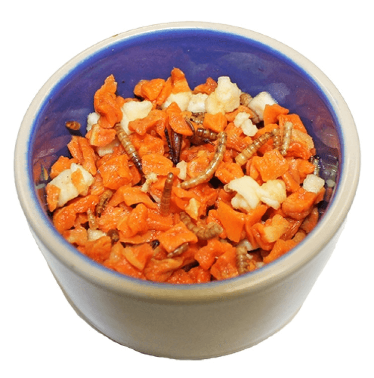 exoticnutrition-Critter Selects Hedgie Bugs & Veggie 2.75 oz1.png