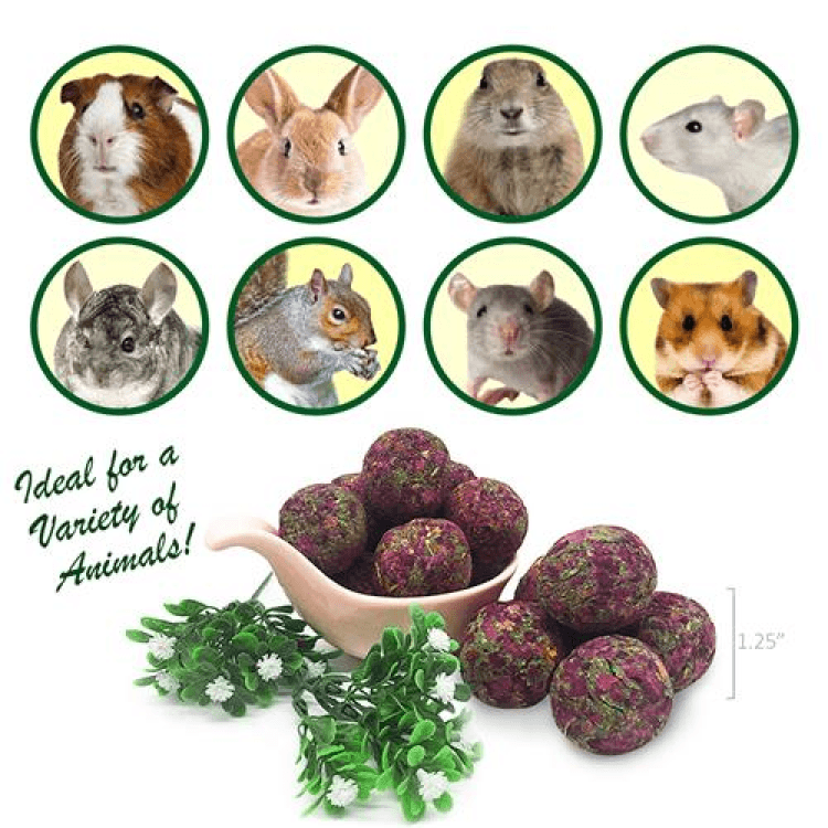 exoticnutrition-Munchers Rose Petals & Timothy Chew Balls1.png