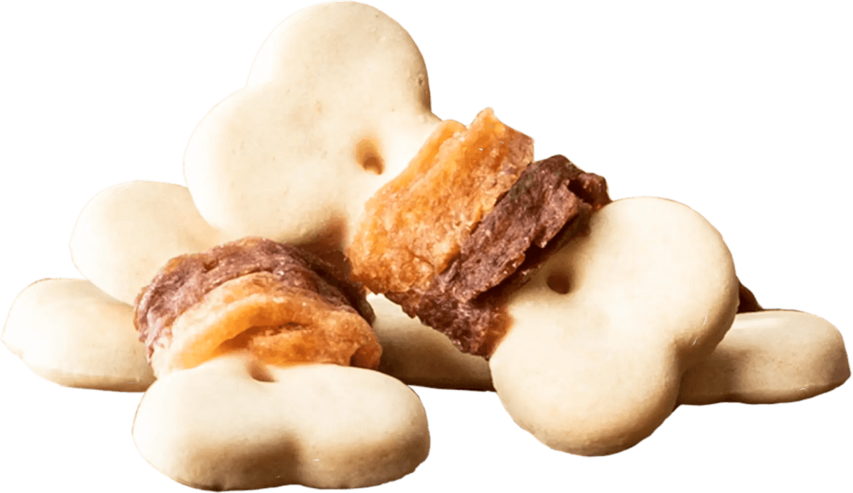 in1 Flavours Meaty Biscuits 100 g1.png