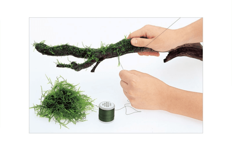 ADA-Moss Cotton 200 m1.png