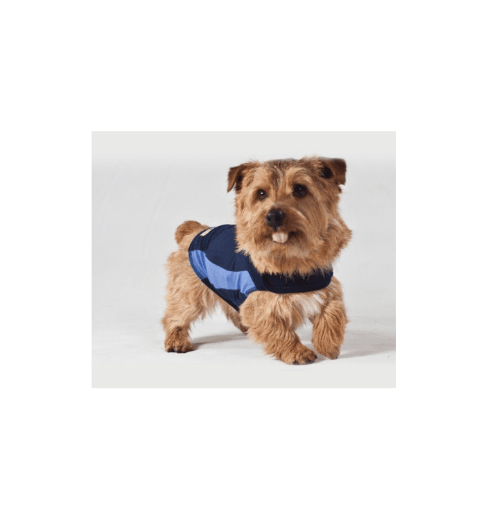 ceva-Thundershirt Dog Blue, XSmall EU.png