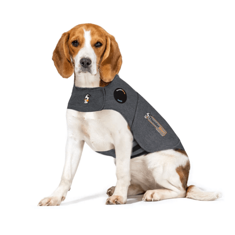 ceva-Thundershirt Dog Grey, Medium GB.png