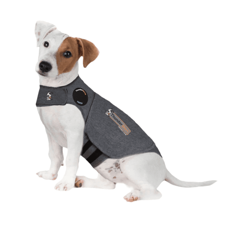 ceva-Thundershirt Dog Grey, Small GB.png