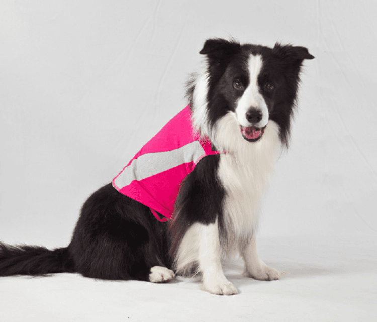 ceva-Thundershirt Dog Pink, XLarge.png