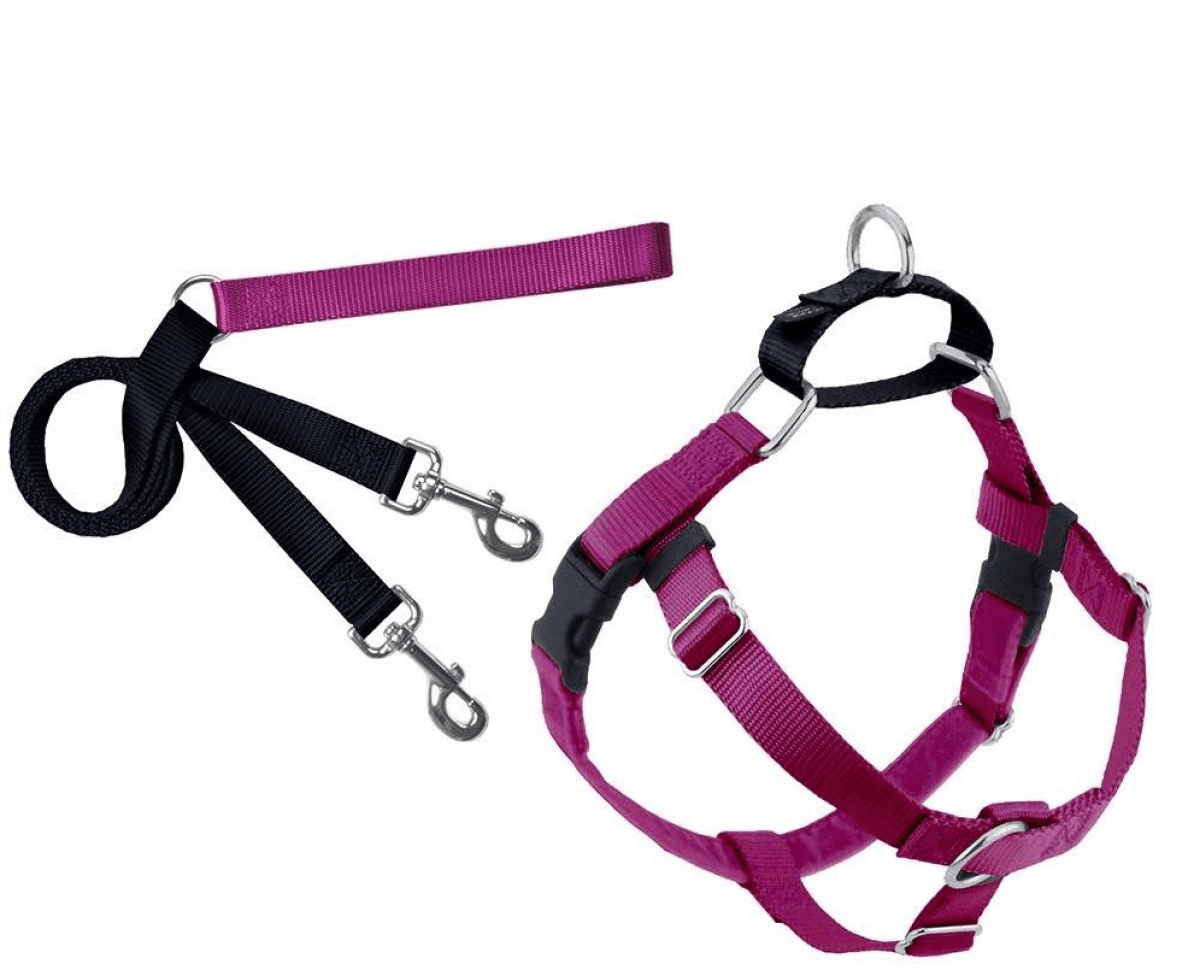 2-Freedom No-Pull Harness and Leash - Raspberry.png