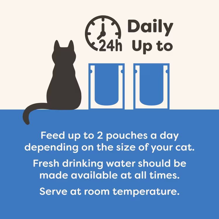 Applaws Fish Multipack Adult Wet Cat Food 12 x 70g Pouch2.avif