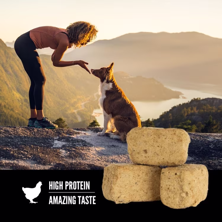 Orijen Original Freeze-Dried Dog Treats1.avif