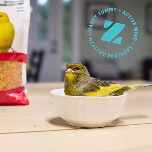 Zupreem FruitBlend Flavor Extra Small Bird Food1.avif