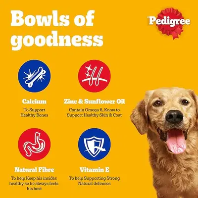 Pedigree Chicken in Loaf Wet Dog Food 400G1.webp
