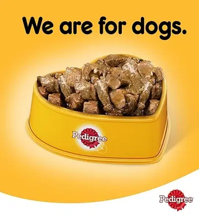 Pedigree Beef Chunks in Gravy Wet Dog Food 400G1.webp