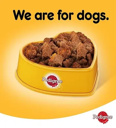 Pedigree Beef Loaf Wet Dog Food 400G1.webp