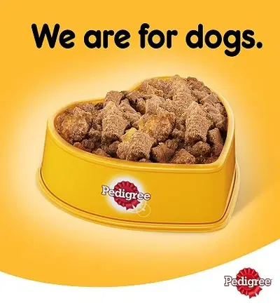 Pedigree Lamb in Loaf Wet Dog Food 400G1.webp