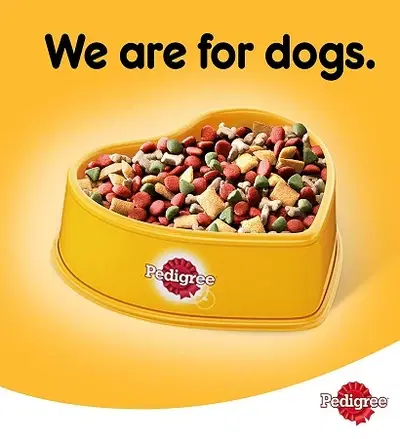 Pedigree Adult Small Breed Beef Lamb & Vegetables Dry Dog Food 1.5KG1.webp