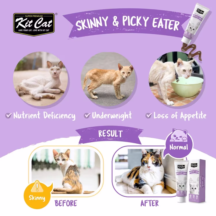 Kit Cat Daily Supplement Gel Weight Gain Cat & Kitten 120g1.avif