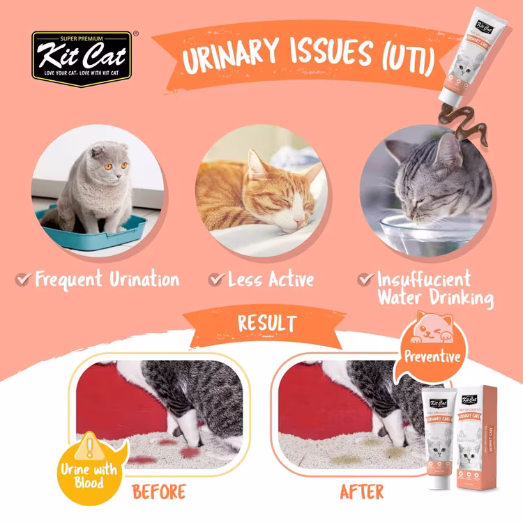 Kit Cat Daily Supplement Gel Urinary Care Cat & Kitten 120g1.avif