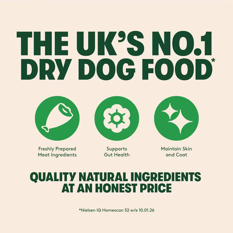 Harringtons Complete Chicken Adult Dry Dog Food1.avif