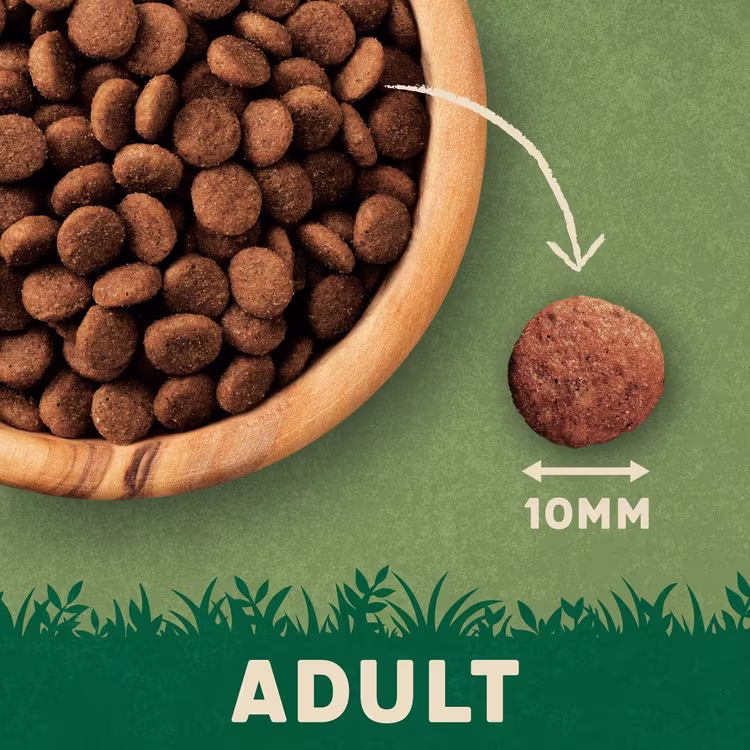Harringtons Complete Chicken Adult Dry Cat Food 2kg1.avif