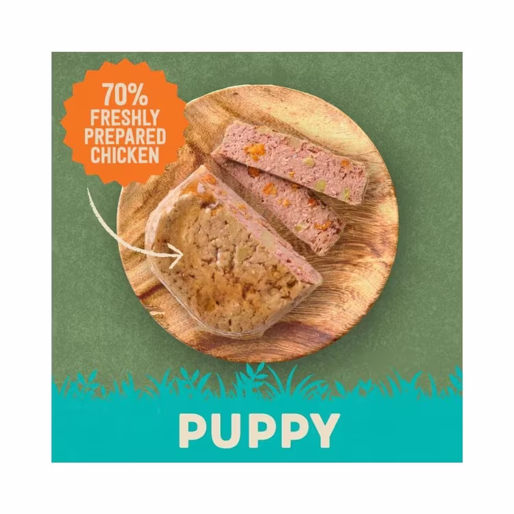 Harringtons Chicken & Potato Grain Free Wet Puppy Food 380g1.avif